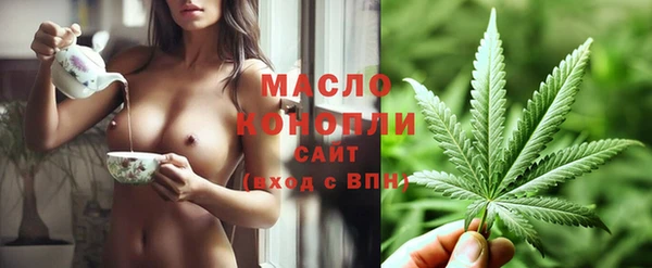 ECSTASY Богородицк