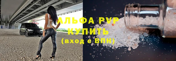 ECSTASY Богородицк